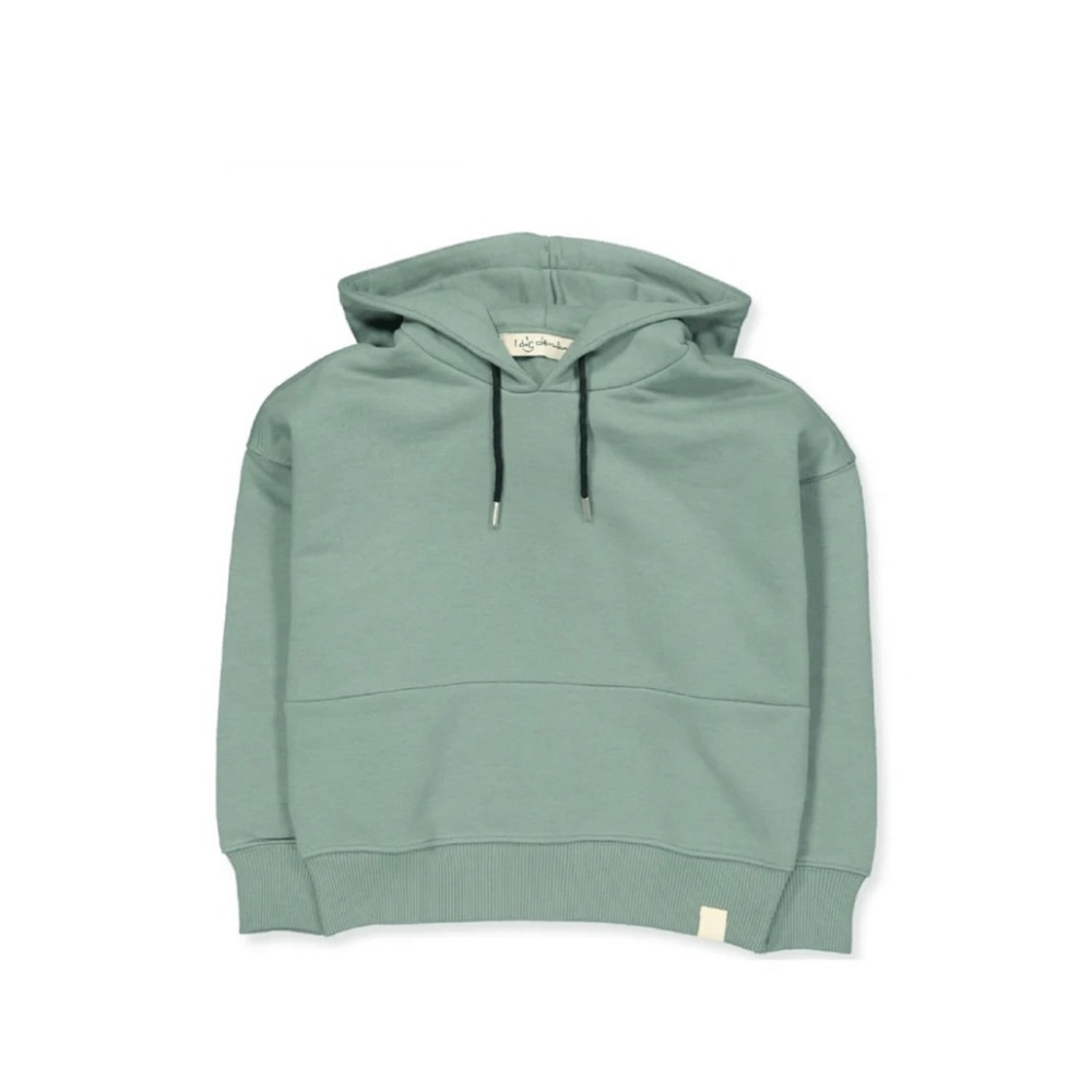 I Dig Denim Sage Pullover Hoodie 3/4T